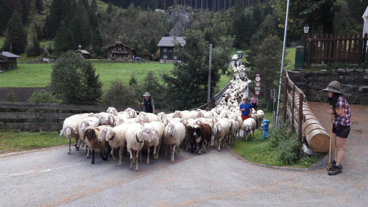 Fewo "Unterm Wald" Stumm Εξωτερικό φωτογραφία